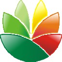 Logo Designer Icon