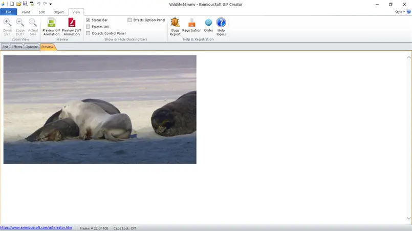 Convert video to GIF