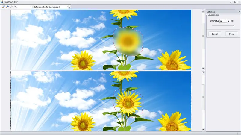 Edit with image filters