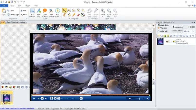 Load Frames from videos